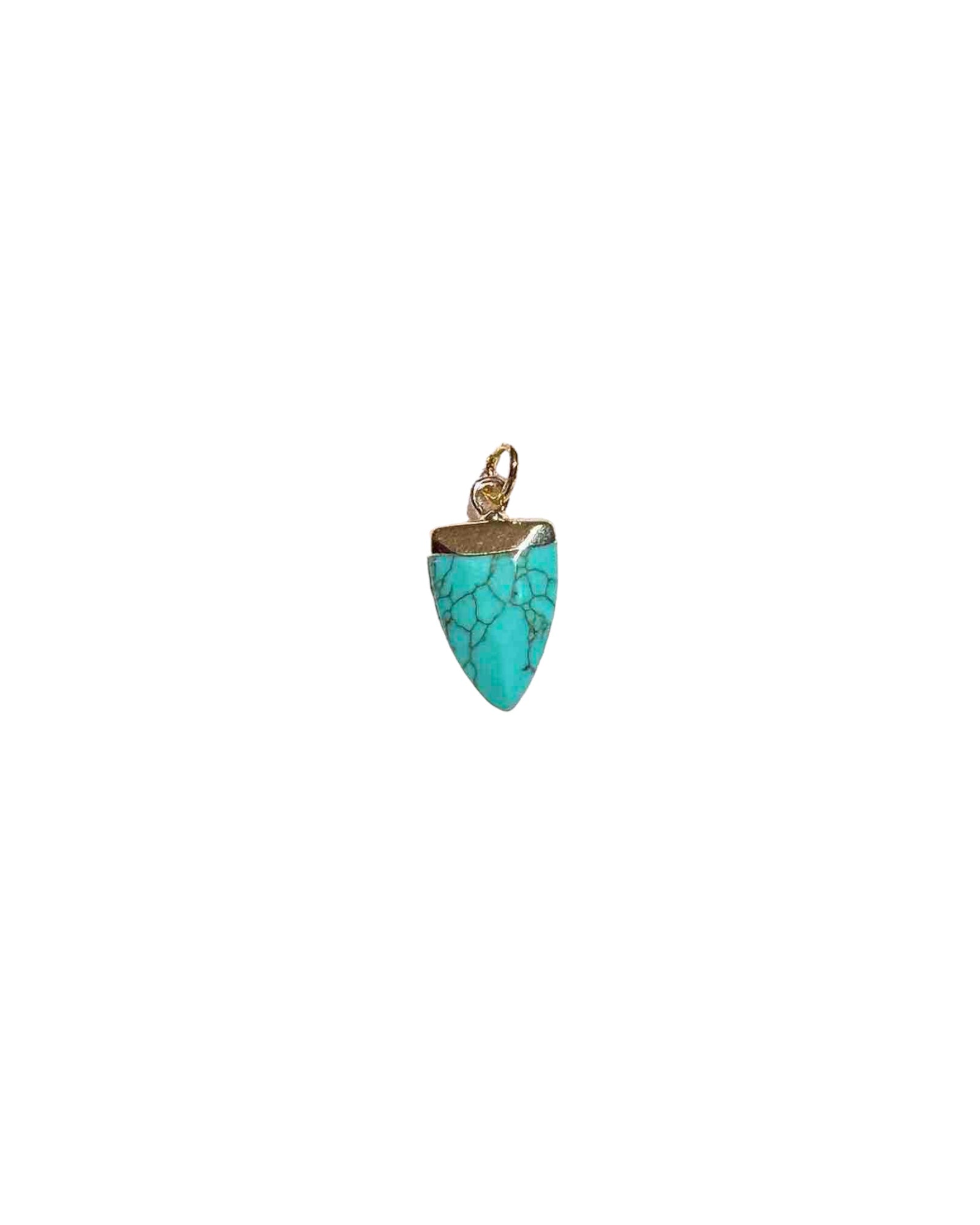 TURQUOISE SHARK - Stellar 
